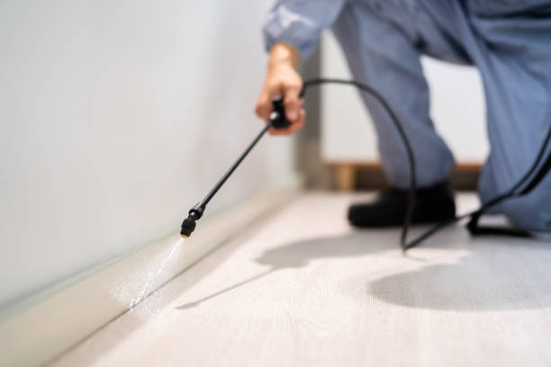 Licensed Pest Control service in Byesville, OH - Show Me Pest Control