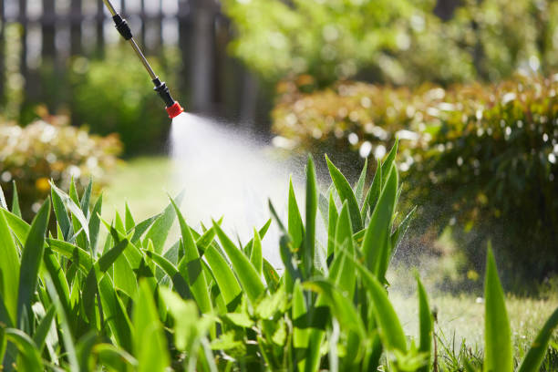 Tamper-Resistant Bait Stations for Rodents in Byesville