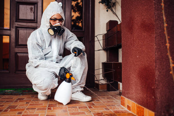 Attic and Crawl Space Rodent Treatment in Byesville