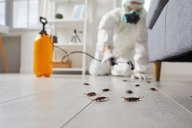 Commercial Rodent Management in Byesville